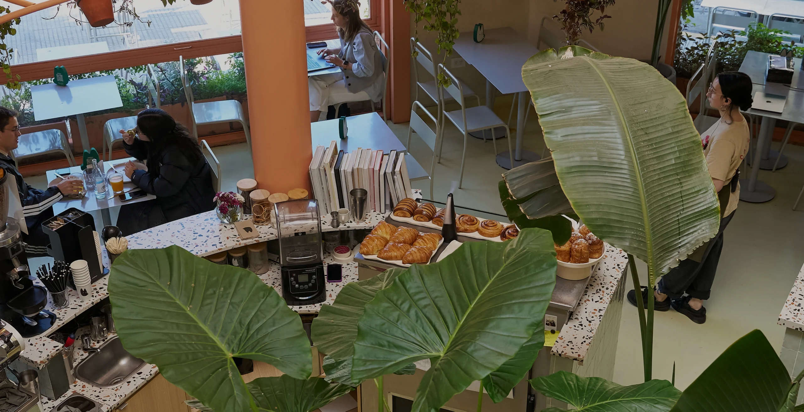 casa-dingo-portada-2